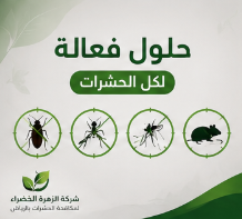 حلول فعالة لمكافحة الحشرات بالرياض