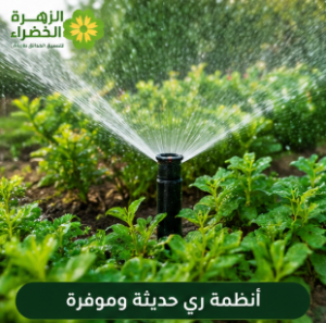  أنظمة الري الحديثة في تنسيق الحدائق بالرياض