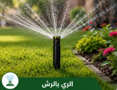 تركيب شبكات الري بالرياض باستخدام أنظمة ري حديثة لتوفير المياه