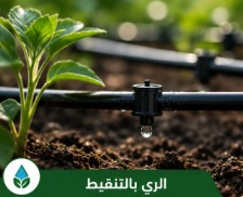 نظام الري بالتنقيط للحدائق بالرياض لتوفير المياه